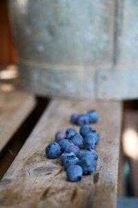 Garden berries harvest