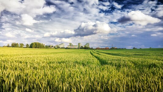 Agriculture the cultivation of landscape photo