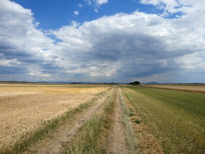 Wide sunny summer photo