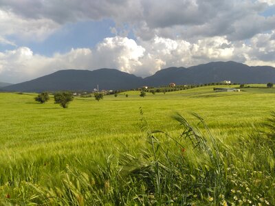 The mountain and the cloud wheat denizli