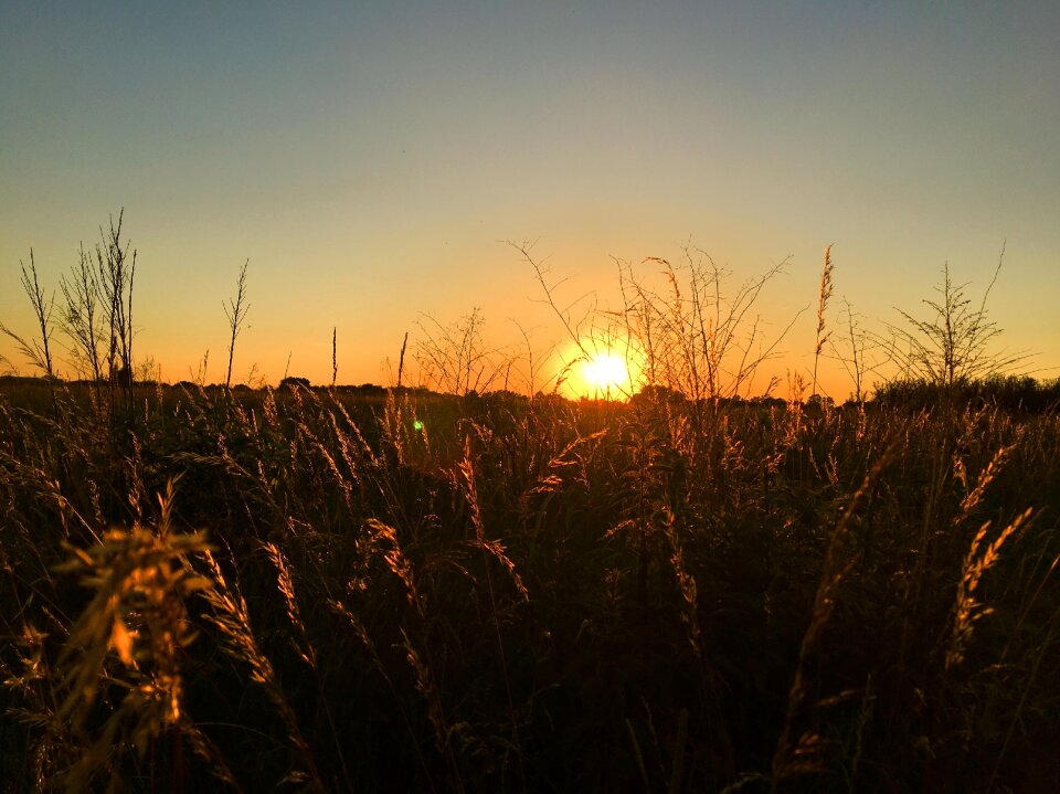 Landscapes summer twilight