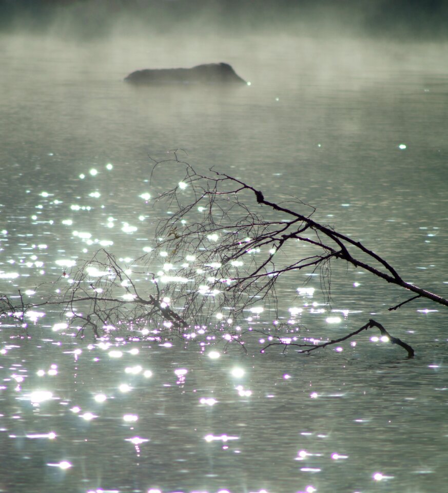 Wave water nature