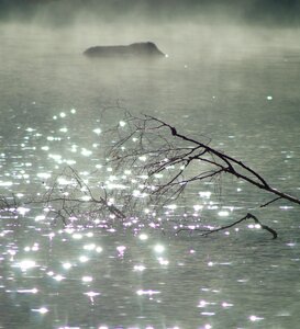 Wave water nature