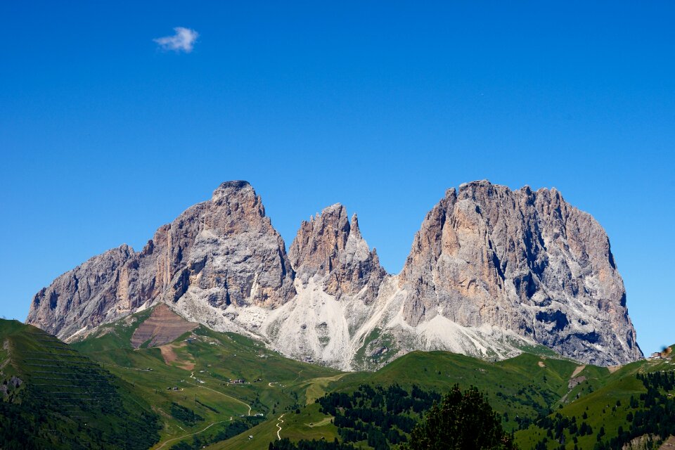 Hiking alps forest