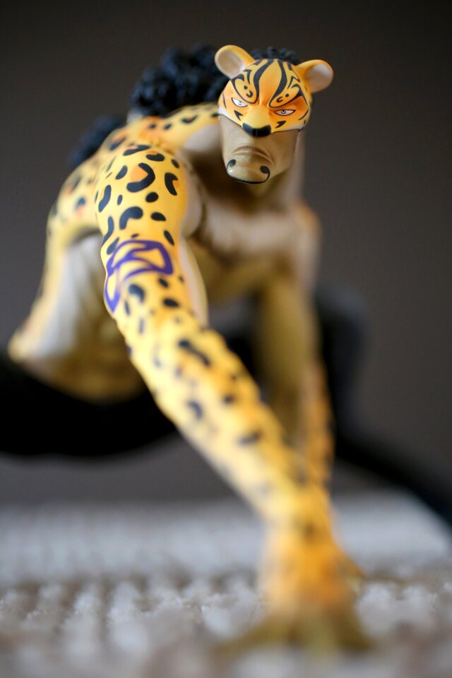 Figure leopard rob lucci