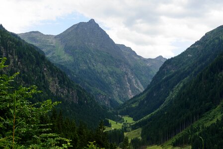 Landscape alpine forest photo