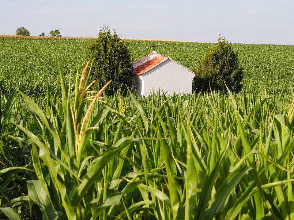 Plant arable agriculture
