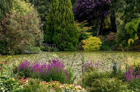 Flora garden