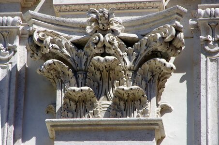 Corinthian acanthus leaf acanthus photo