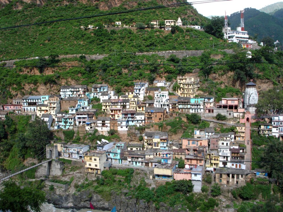 River village forest