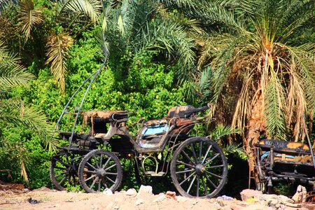 Mood egypt romantic
