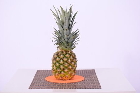 Fruit food for my health