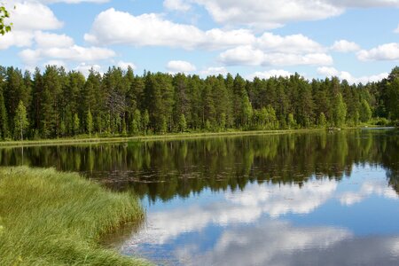 Lake landscape forest photo