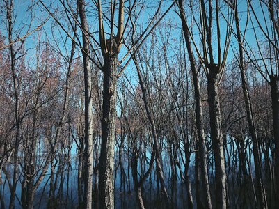 The water the scenery scenery photo