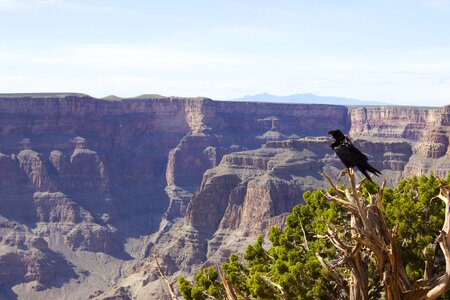 Canyon national nature photo