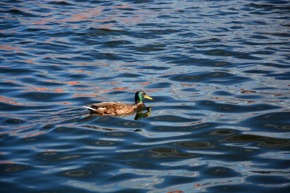 Water nature loneliness