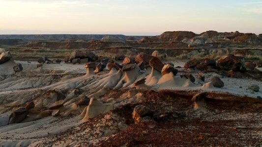 Desert fairy light