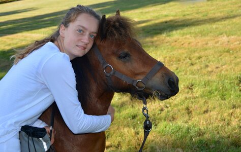 Complicity horses sport photo