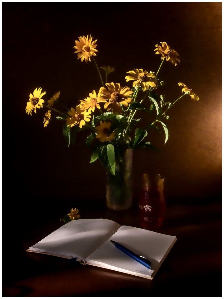 Still life chamomile notebook