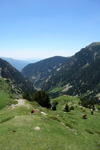 Pyrenees catalonia spain