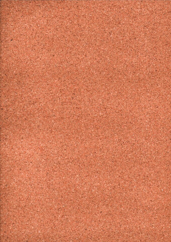 Cork hardwood wood