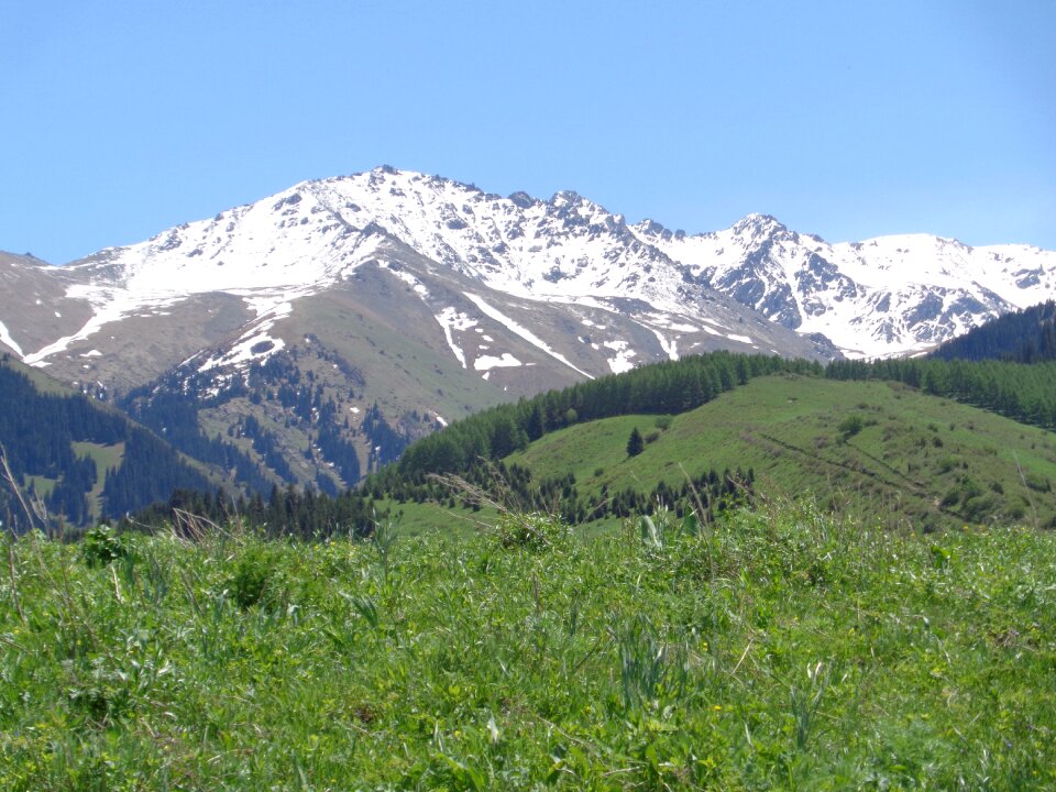 Central asia green grass and mountains