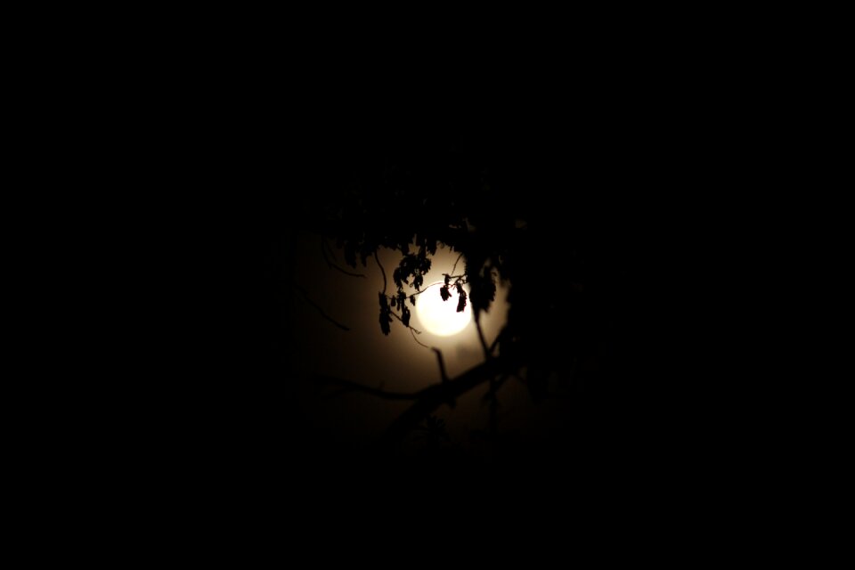 Bright dark scene