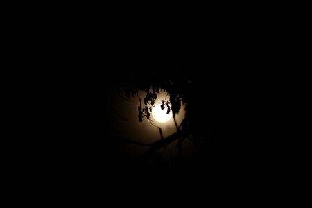 Bright dark scene