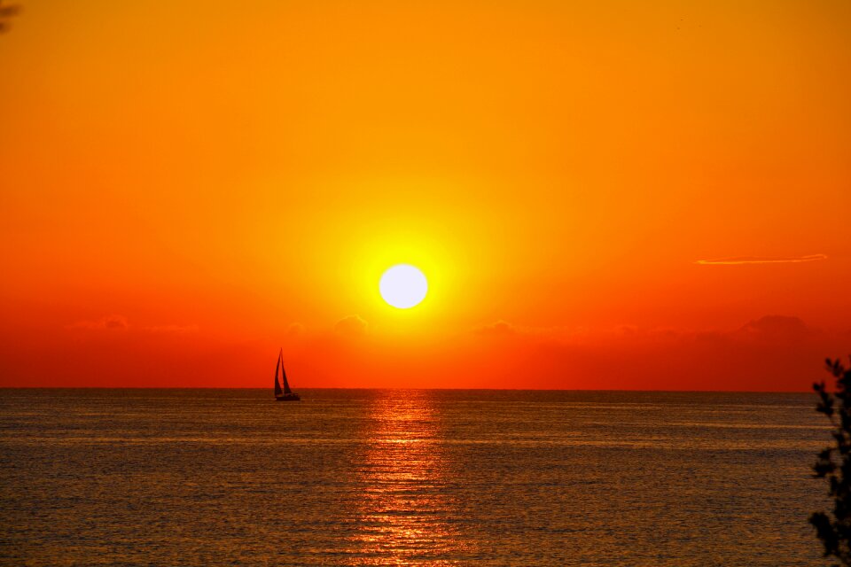 Nature orange water