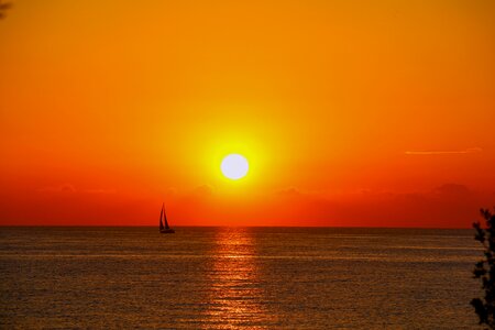 Nature orange water photo