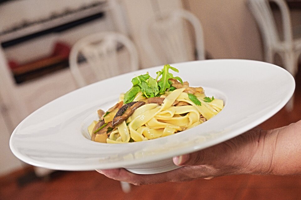 Food gastronomy mushrooms