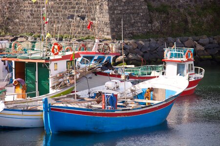 Acores harbour fishery