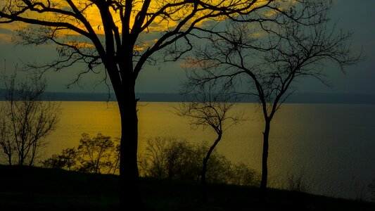 Sunset light branch photo