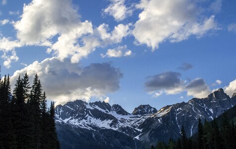 Sky trees forest photo