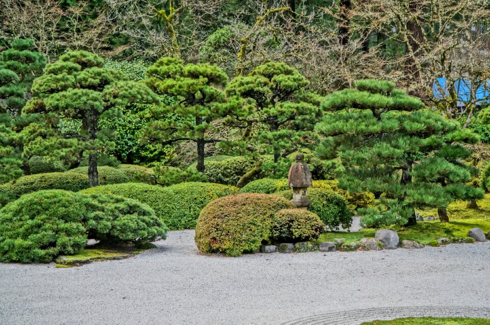 Meditation asian park