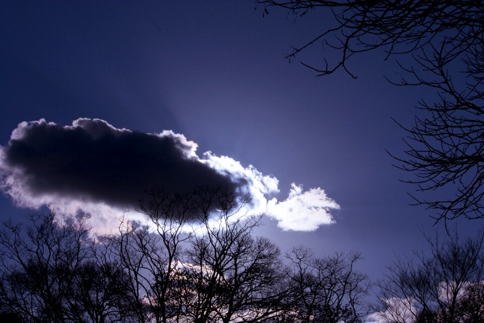 Dynamic decadent sky
