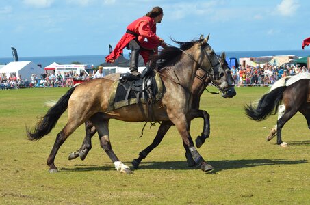 Horse riding tricks