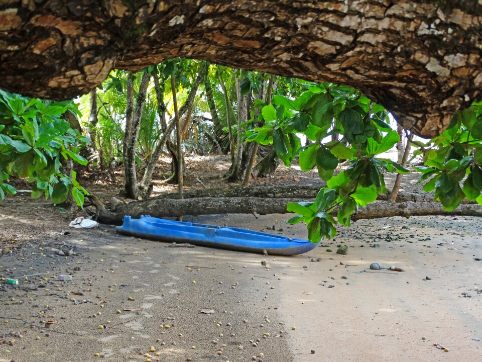 Beach nature litoral