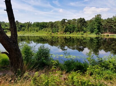 Peaceful landscape pond photo