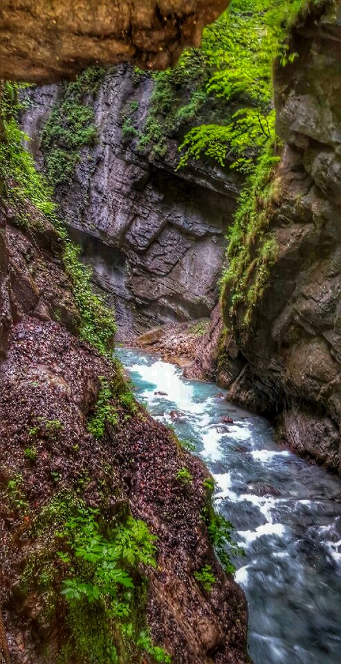 Bach mountain nature
