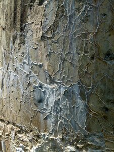 Aging concrete cracked