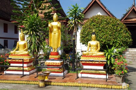 Buddhas statues prayer photo