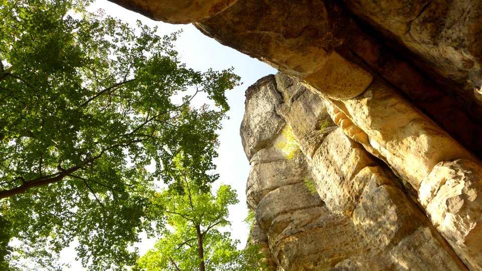Saxony cliff tree photo