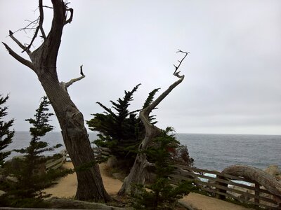 Wind water