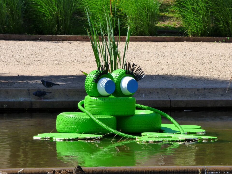 Basin original frog