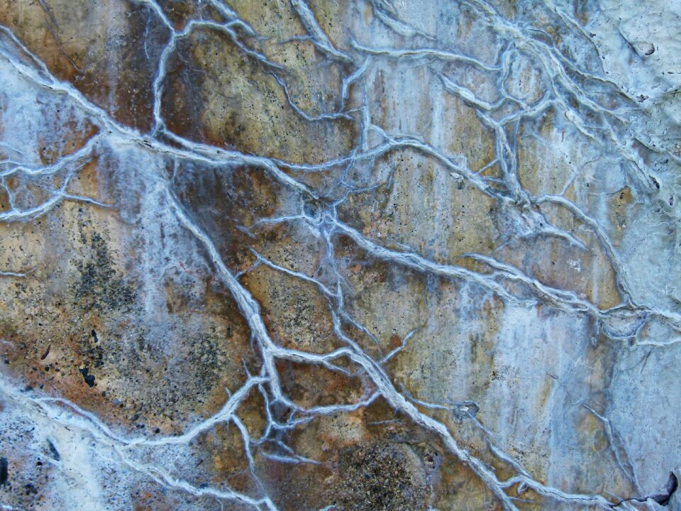 Leached minerals concrete