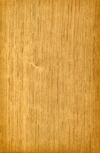 Wood material texture wood