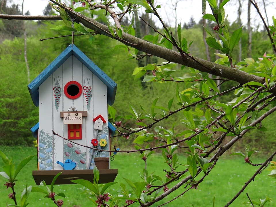 Nesting box bird treehouse photo