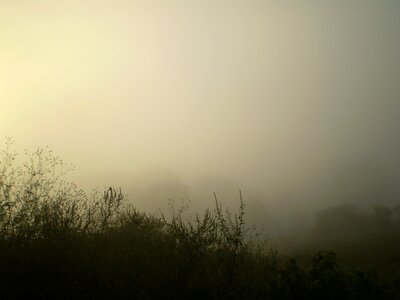 Sunset trasluz silhouettes