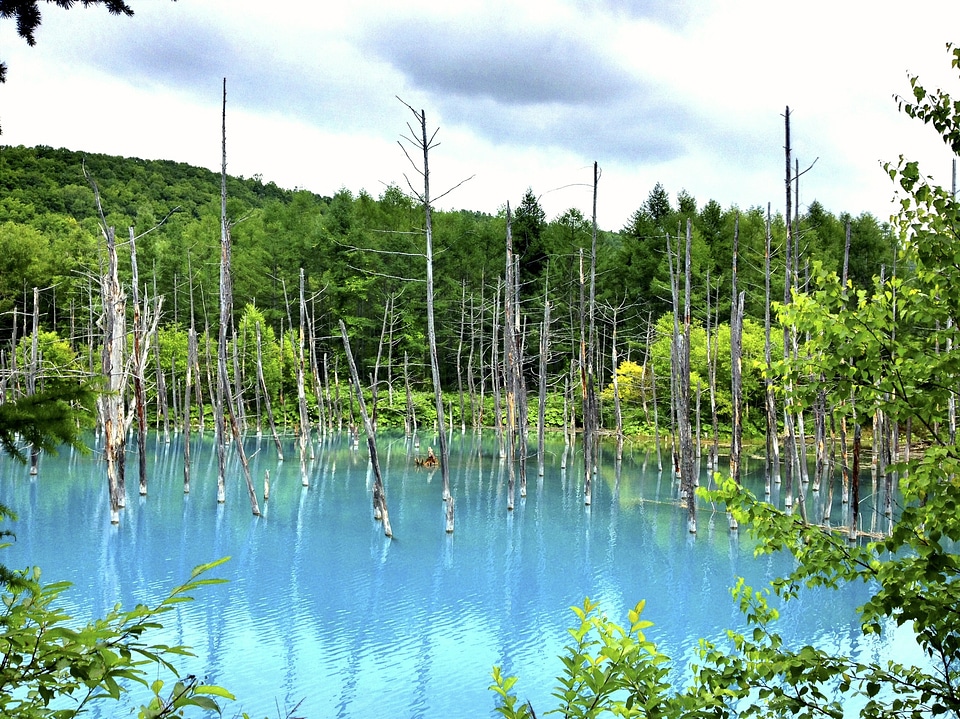 Reflection tranquil lake